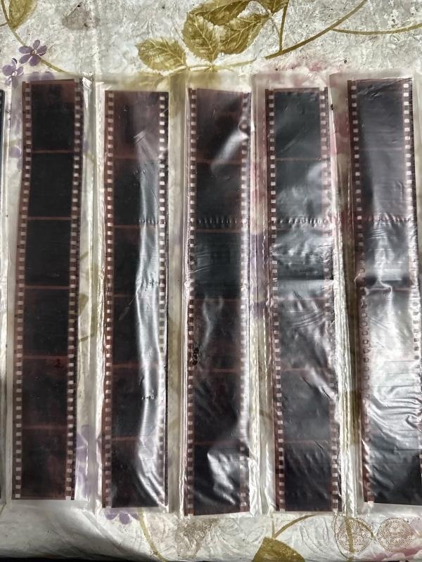 Klise Film Negatif Warna 35 mm (Artefak Fotografi Analog)